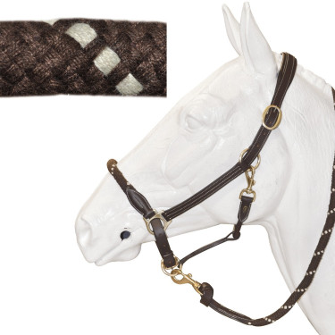 Touwhalster Canter Touwhalster Canter