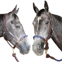 Touwhalster Canter Marron / beige