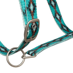 Nylon halster Pool’s met Navajo-motief Turkoois Blauw