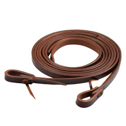 Gescheiden teugels Pool’s 3/4" Geolied