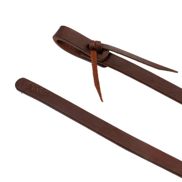 Gescheiden teugels Pool’s 3/4" Geolied