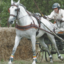 Anatomische Bricole Eric Le Tixerant Double noir Anatomische Bricole Eric Le Tixerant Double noir