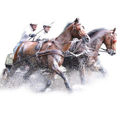 Anatomisch dubbel MARATHON-harnas Eric Le Tixerant Marron / newmarket
