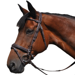 Bridon Vlaggen & Beker Doha Bridon Vlaggen & Beker Doha