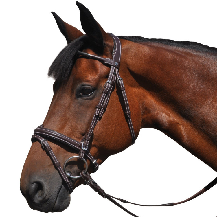 Bridon Vlaggen & Beker Doha Bridon Vlaggen & Beker Doha