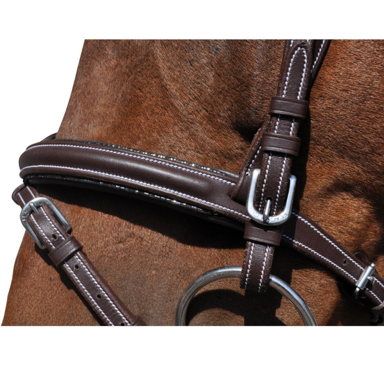 Bridon Vlaggen & Beker Doha Bridon Vlaggen & Beker Doha