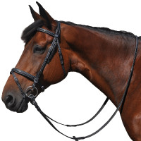 Bridon Vlaggen & Beker Helsinki Bruin
