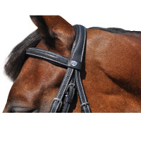 Bridon Vlaggen & Beker Helsinki Bruin Bridon Vlaggen & Beker Helsinki Bruin