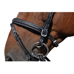 Bridon Vlaggen & Beker Helsinki Bruin