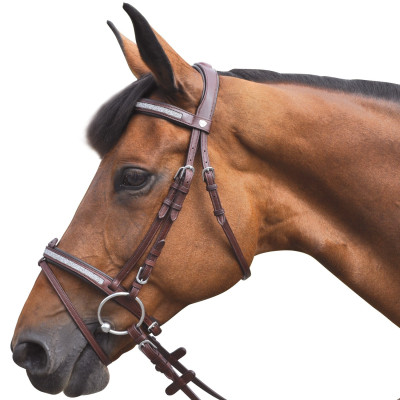 Bridon Vlaggen & Beker Kitsi Bruin