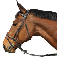Bridon Vlaggen & Beker Oslo Marron / camel