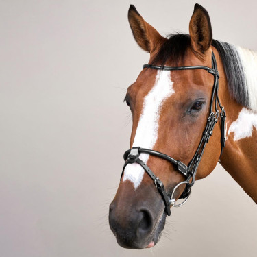 Ronde leren hoofdstel Working By Dy'on Zwart