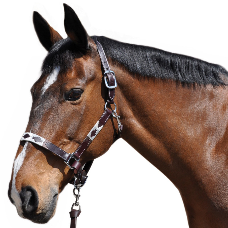 Halster Vlaggen & Beker Chukka Halster Vlaggen & Beker Chukka