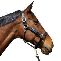 Halster Vlaggen & Beker Chukka Moka / bleu / rouge Halster Vlaggen & Beker Chukka Moka / bleu / rouge