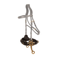 Hackamore Dy'on Zwart