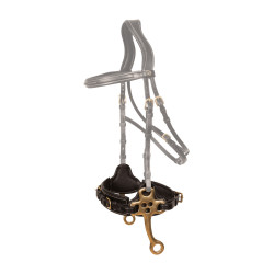 Hackamore Dy'on Zwart