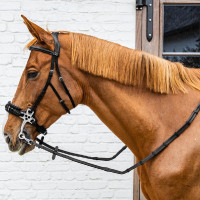 Rubberen teugels 5/8" Dy'on Working-collectie met lederen stops en musketonhaak Zwart Rubberen teugels 5/8" Dy'on Working-collectie met lederen stops en musketonhaak Zwart