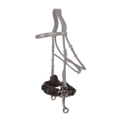 Hackamore Dy'on New English Zwart