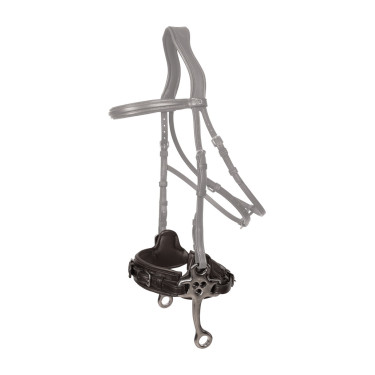 Hackamore Dy'on New English Zwart
