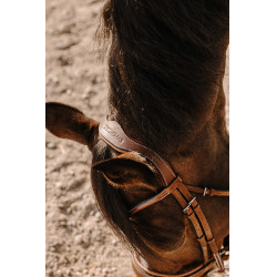 Bridon Eric Thomas Visby Havana Bruin