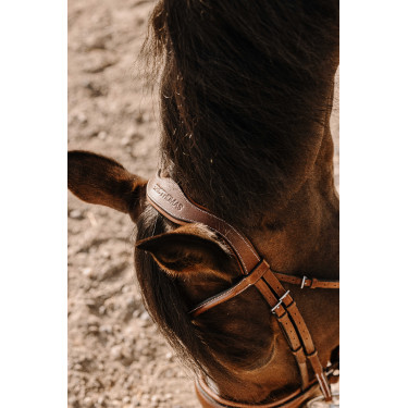 Bridon Eric Thomas Visby Havana Bruin