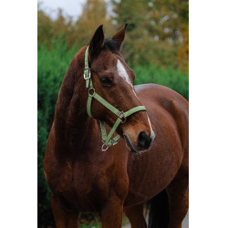 Nylon Halster Spring Equithème Lichtgroen