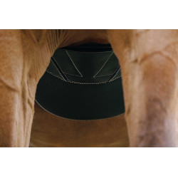 Magnetische singel Norton Zwart