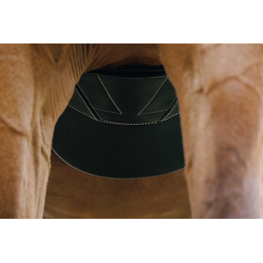 Magnetische singel Norton Zwart