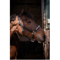 Halster Pénélope Harmonie Bruin