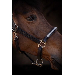 Halster Pénélope Harmonie Zwart