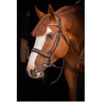 Bridon Pénélope Daily Strass SR Havana Bruin