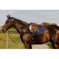 Borsttuig NORTON - 5 punten Havana Bruin