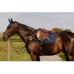 Borsttuig NORTON - 5 punten Havana Bruin Borsttuig NORTON - 5 punten Havana Bruin