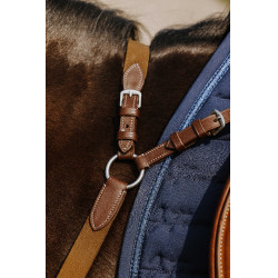 Borsttuig NORTON - 5 punten Havana Bruin Borsttuig NORTON - 5 punten Havana Bruin