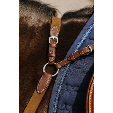 Borsttuig NORTON - 5 punten Havana Bruin Borsttuig NORTON - 5 punten Havana Bruin