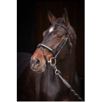 Bridon Pénélope Symphonie Zwart