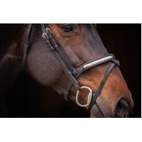 Bridon Pénélope Symphonie Havana Bruin