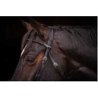 Bridon Pénélope Symphonie Havana Bruin