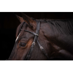 Bridon Pénélope Symphonie Zwart