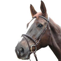 Bridon Privilege Equitation Biarritz gecombineerd