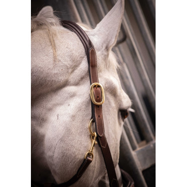 Leren halster met 3 musketons Paddock Sports Havana Bruin