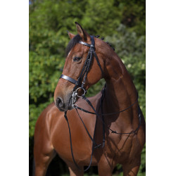 Bride Riding World Zwart Bride Riding World Zwart