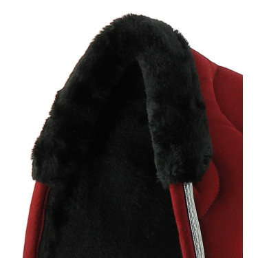 Rugbeschermer Equithème Jump Pro Bordeaux Rugbeschermer Equithème Jump Pro Bordeaux