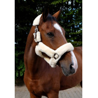 Halster Equithème Teddy Bordeaux / écru Halster Equithème Teddy Bordeaux / écru