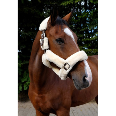 Halster Equithème Teddy Choco / ecru Bruin