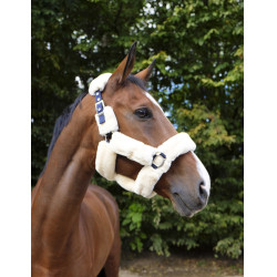 Halster Equithème Teddy Marine / écru → Marine / ecru Blauw