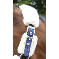 Halster Equithème Teddy Groen / bruin