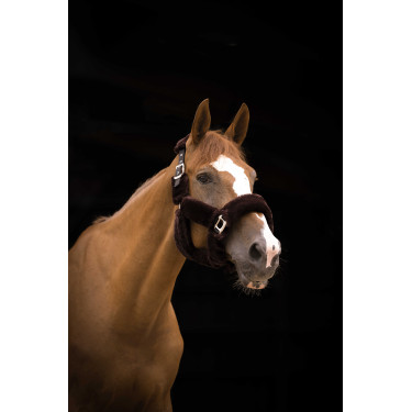 Halster Equithème Teddy Zwart / bruin