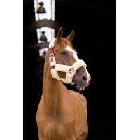 Halster Equithème Teddy Bordeaux / écru Halster Equithème Teddy Bordeaux / écru