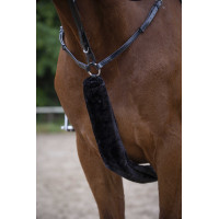 Hoogstuk voor martingaal Equithème Teddy Zwart